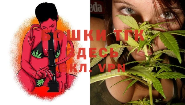крисы Аркадак