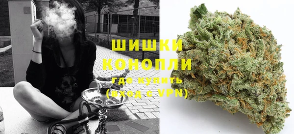 крисы Аркадак