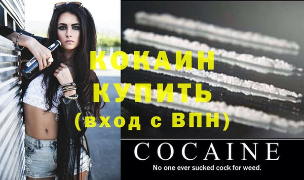 крисы Аркадак