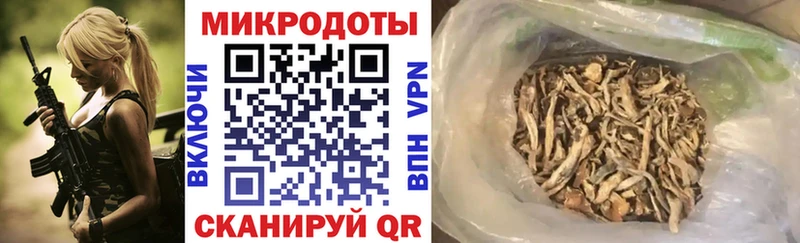 kraken вход  Кинель  Псилоцибиновые грибы GOLDEN TEACHER 